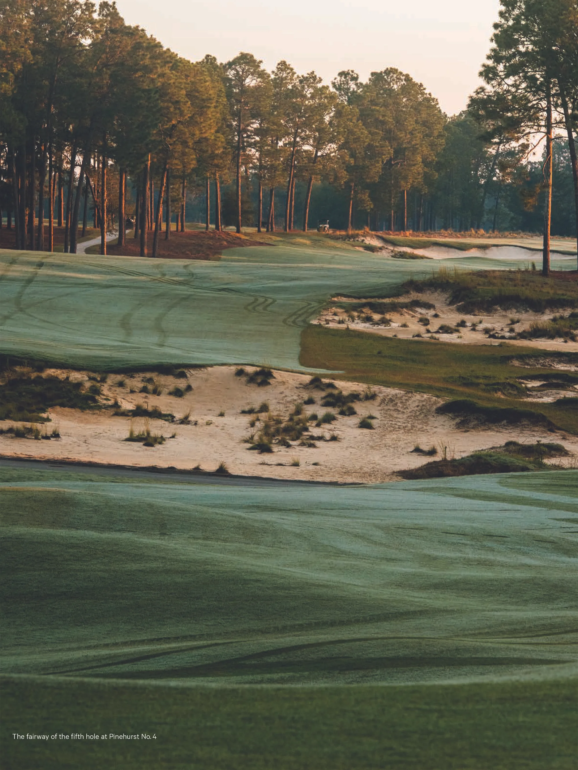 pinehurst2.jpg