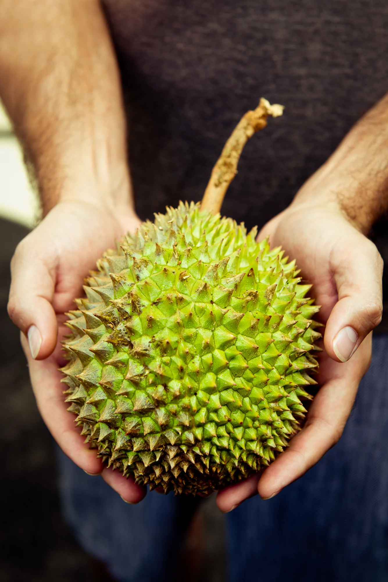 gherman_CNTMaui-211-Edit-Edit.jpg