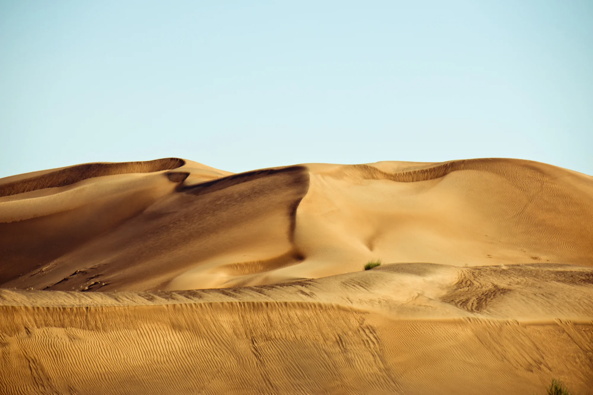 GH_Oman178.jpg