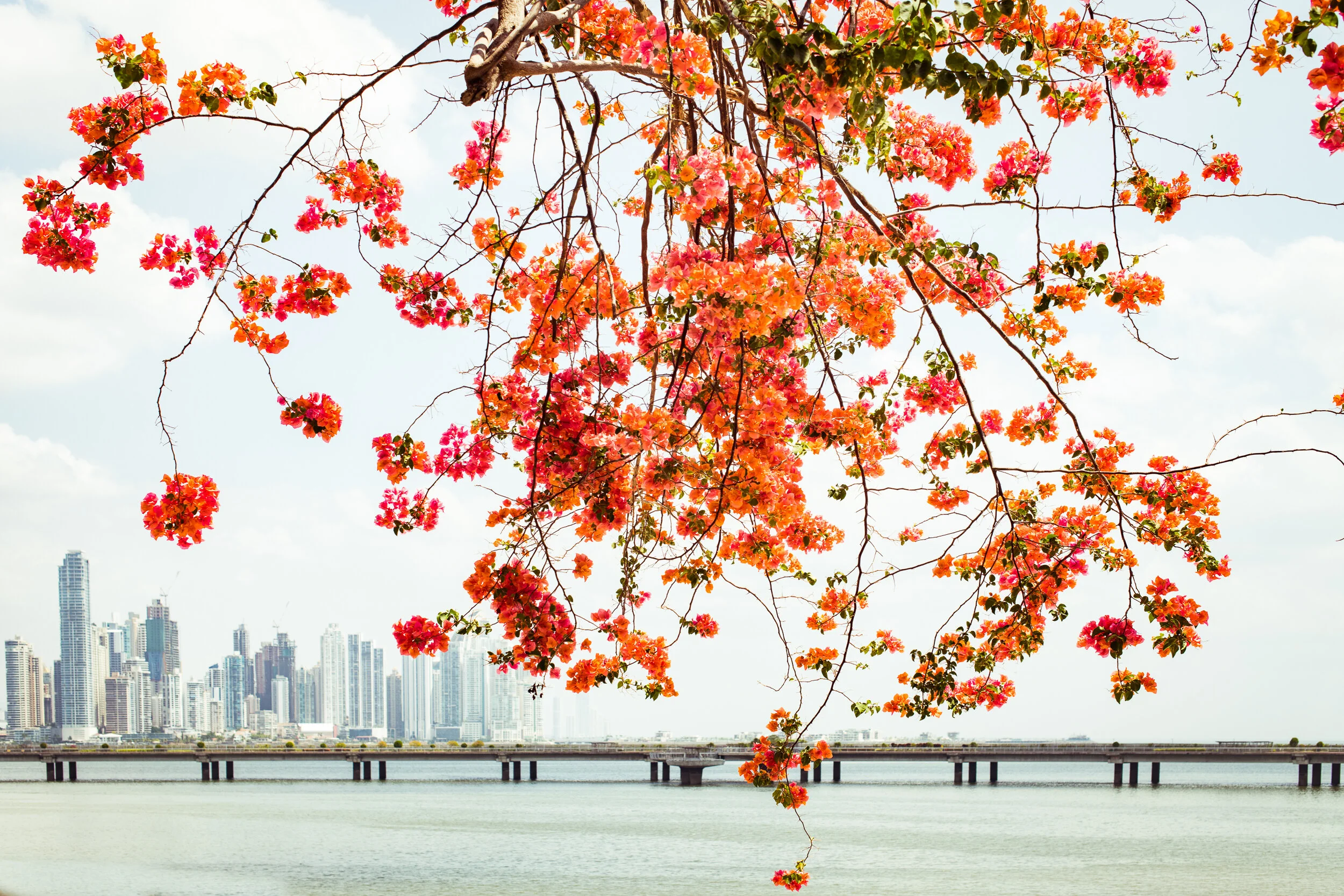 Panama City