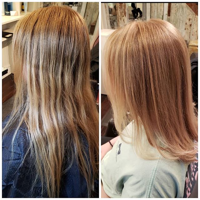 This beautiful, natural balayage and haircut was done by Sylvia at Muse of Tewksbury using AVEDA Enlightener and Extra Lifting Creme. This client's overall color was then evened out using AVEDA Enlightener Toner in Beige. AVEDA provides lightening wi