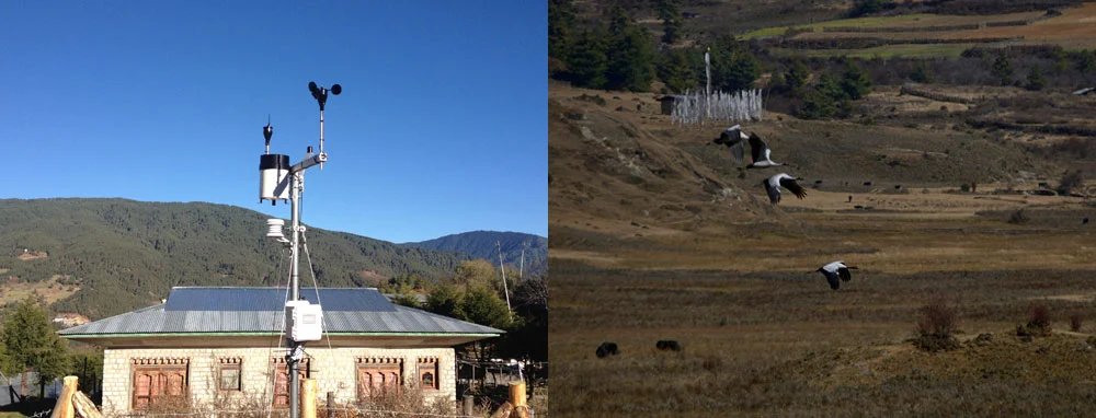 (Left) A HEROES weather station at a school in Bumthang //Photo credit: Julia Novy-Hildesley. (Right) Black-necked cranes in the Phobjikha Valley //Photo credit: Gary Braasch Photography
