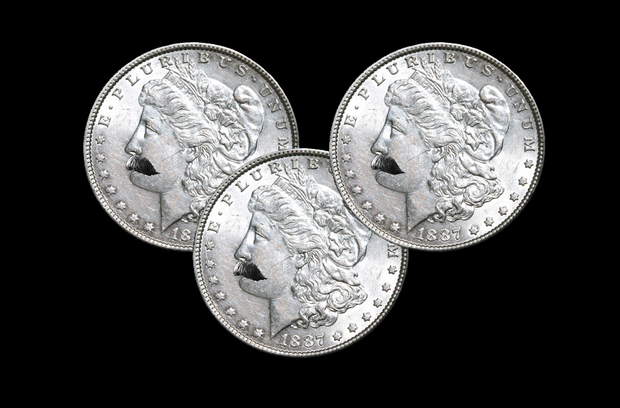 sanchez fly picture.png