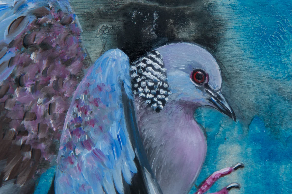 dove detail (1 of 1).jpg
