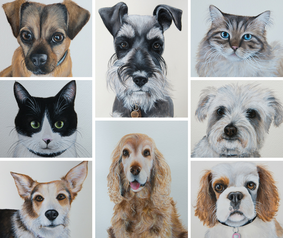 Pet Portraits from December 2016. 