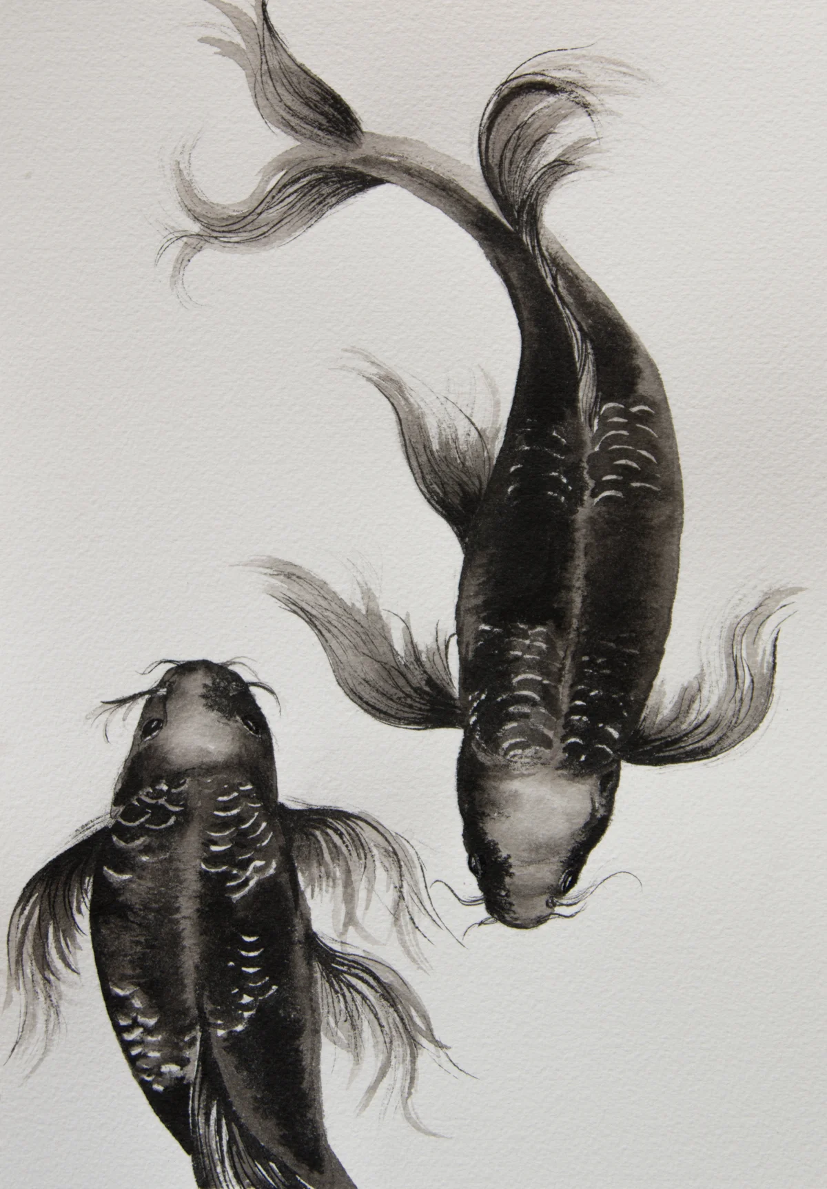 Day 5 Koi Dance - Zoe Wood - 2017 (1 of 1).jpg