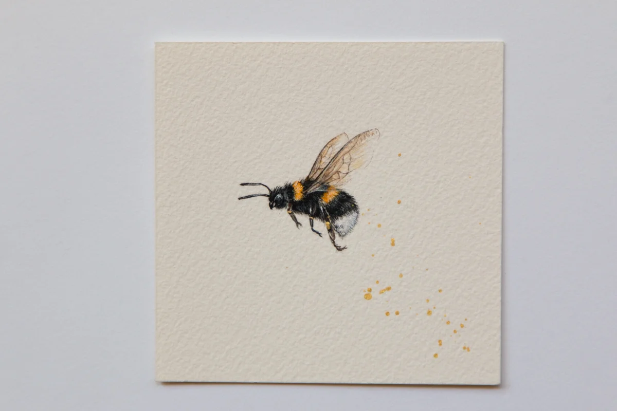 Day 18 Bumblebee - Zoe Wood - 2017 (1 of 1).jpg