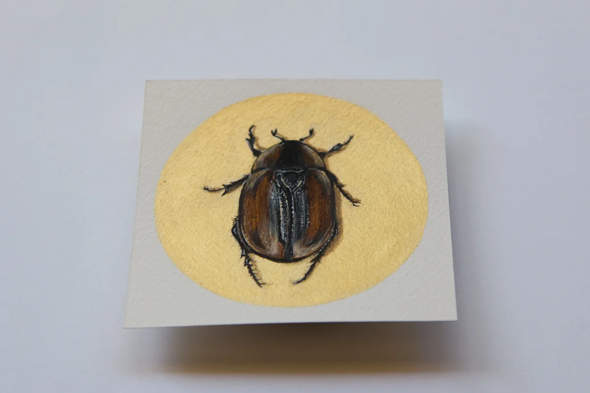 Day 20 Christmas Beetle 2- Zoe Wood - 2017 (1 of 1).jpg