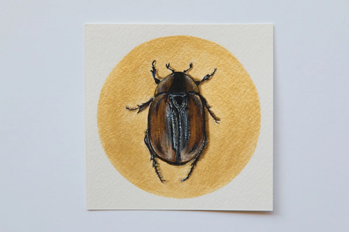 Day 20 Christmas Beetle- Zoe Wood - 2017 (1 of 1).jpg