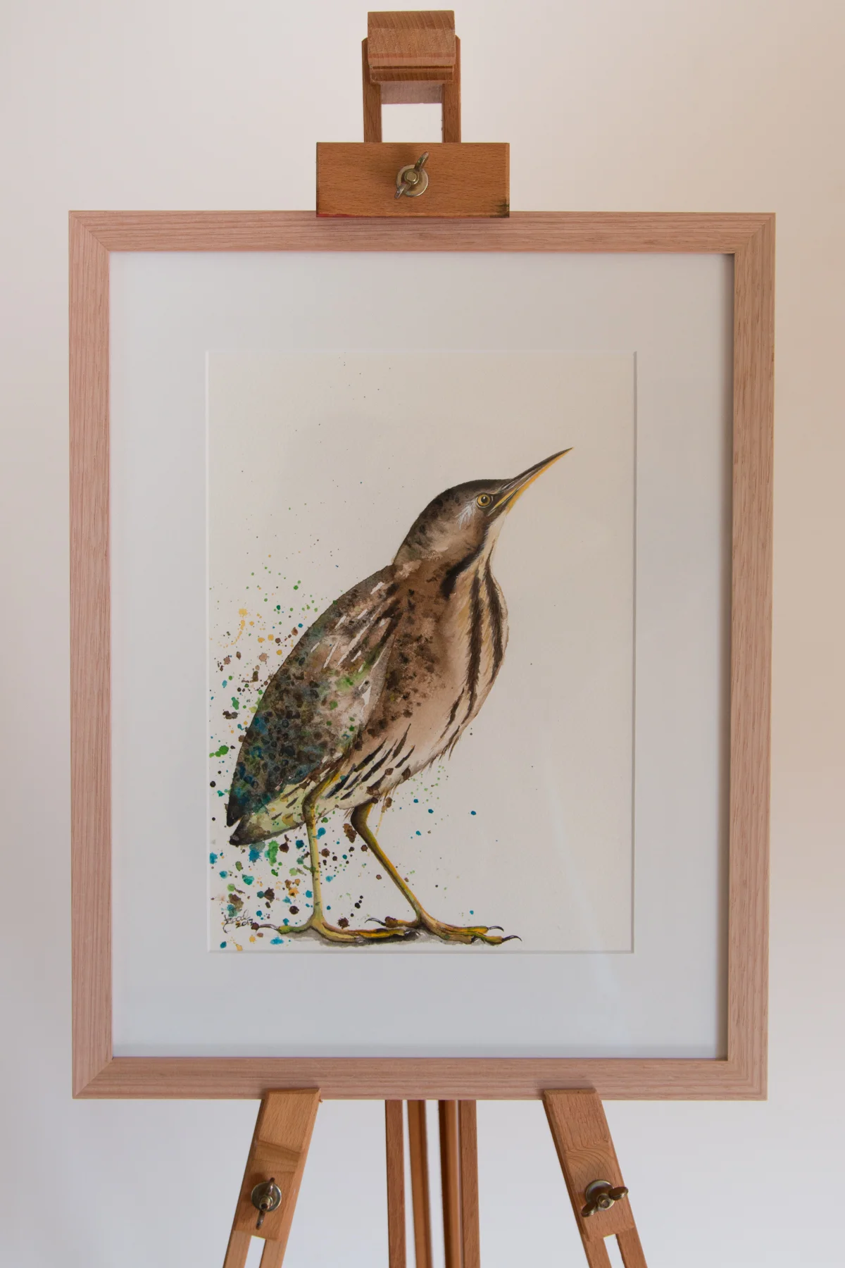 Bittern - Zoe Wood 2017 (1 of 1).jpg