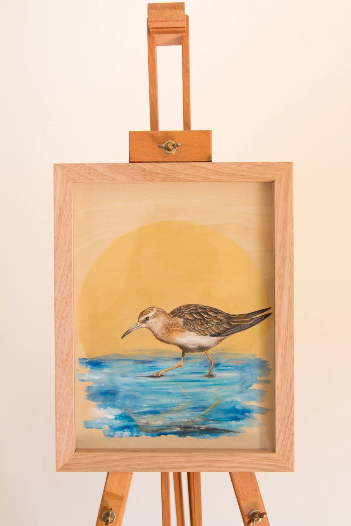 Sharp Tailed Sandpiper- Zoe Wood 2017 (1 of 1).jpg