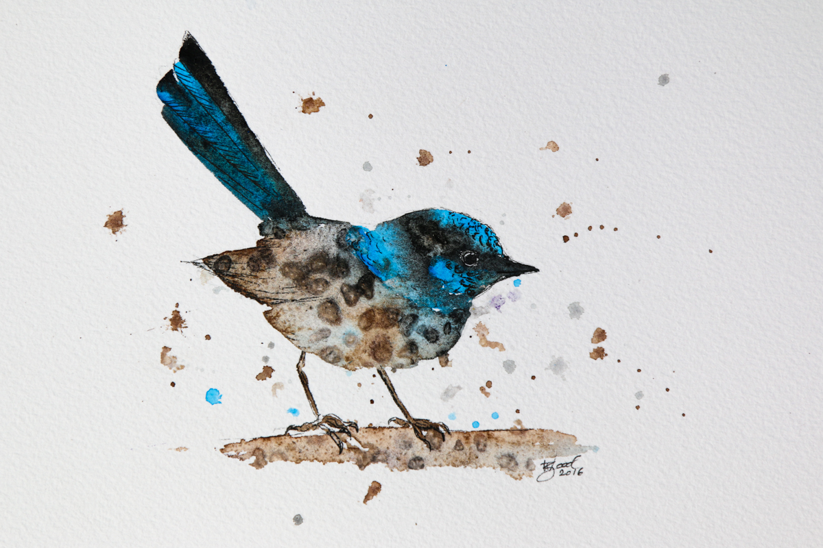 Blue Wren original_.jpg