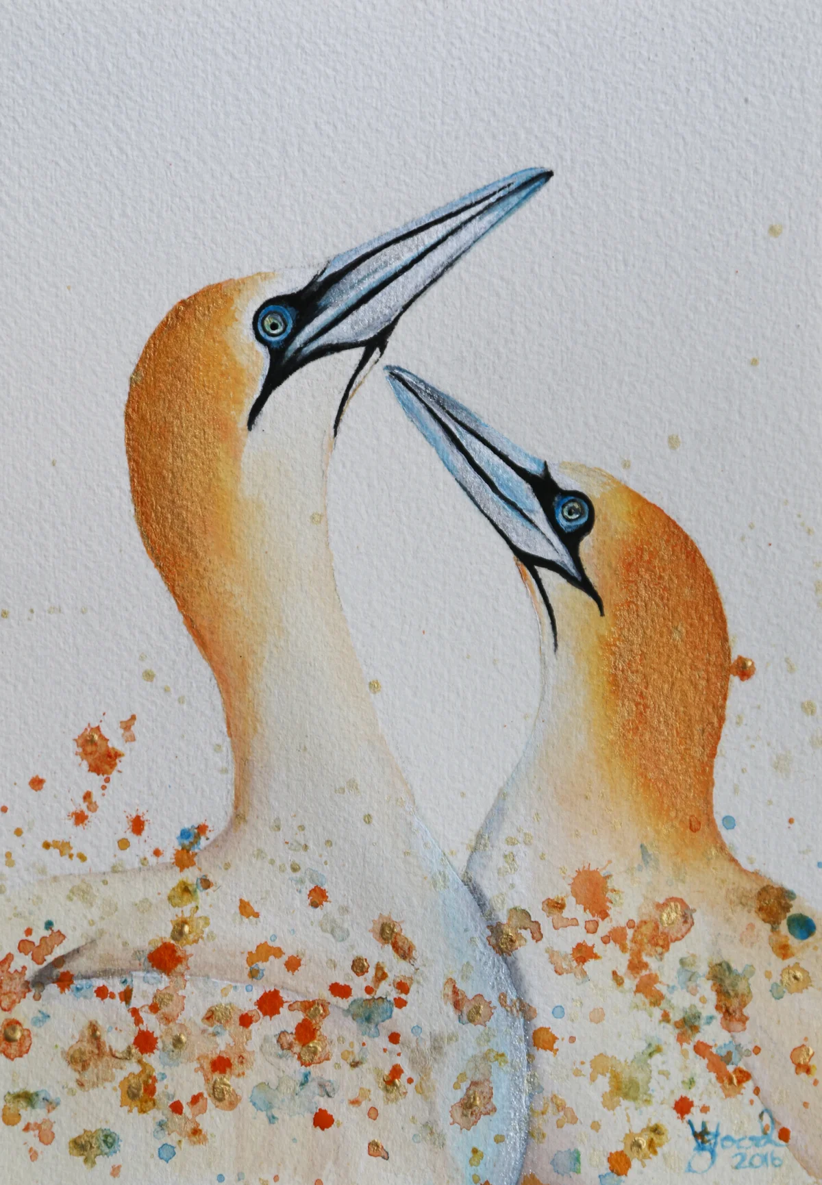 Love birds.jpg