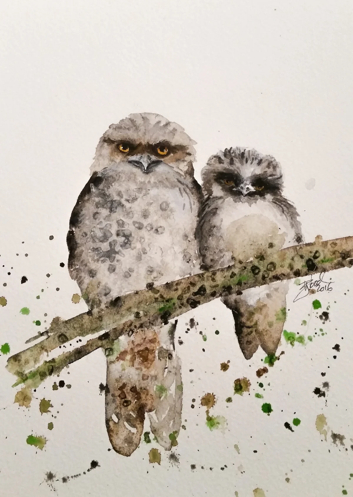 Two owls.jpg
