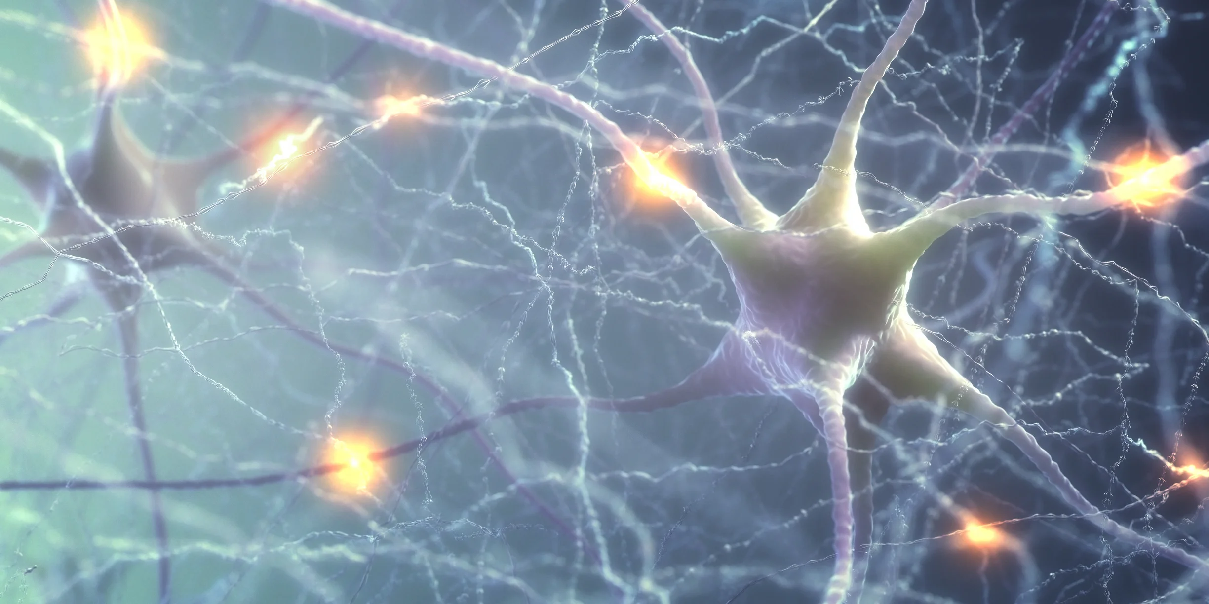 neurons orange on gray.jpg
