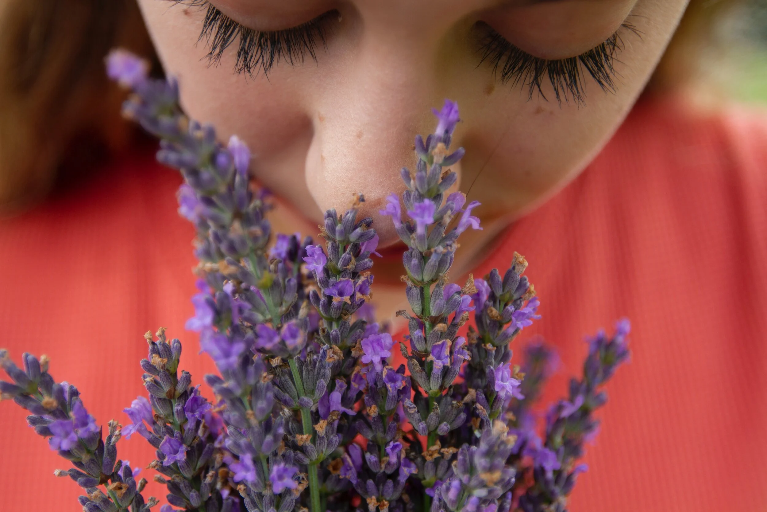 Smell recovery: physiotherapy for the nose