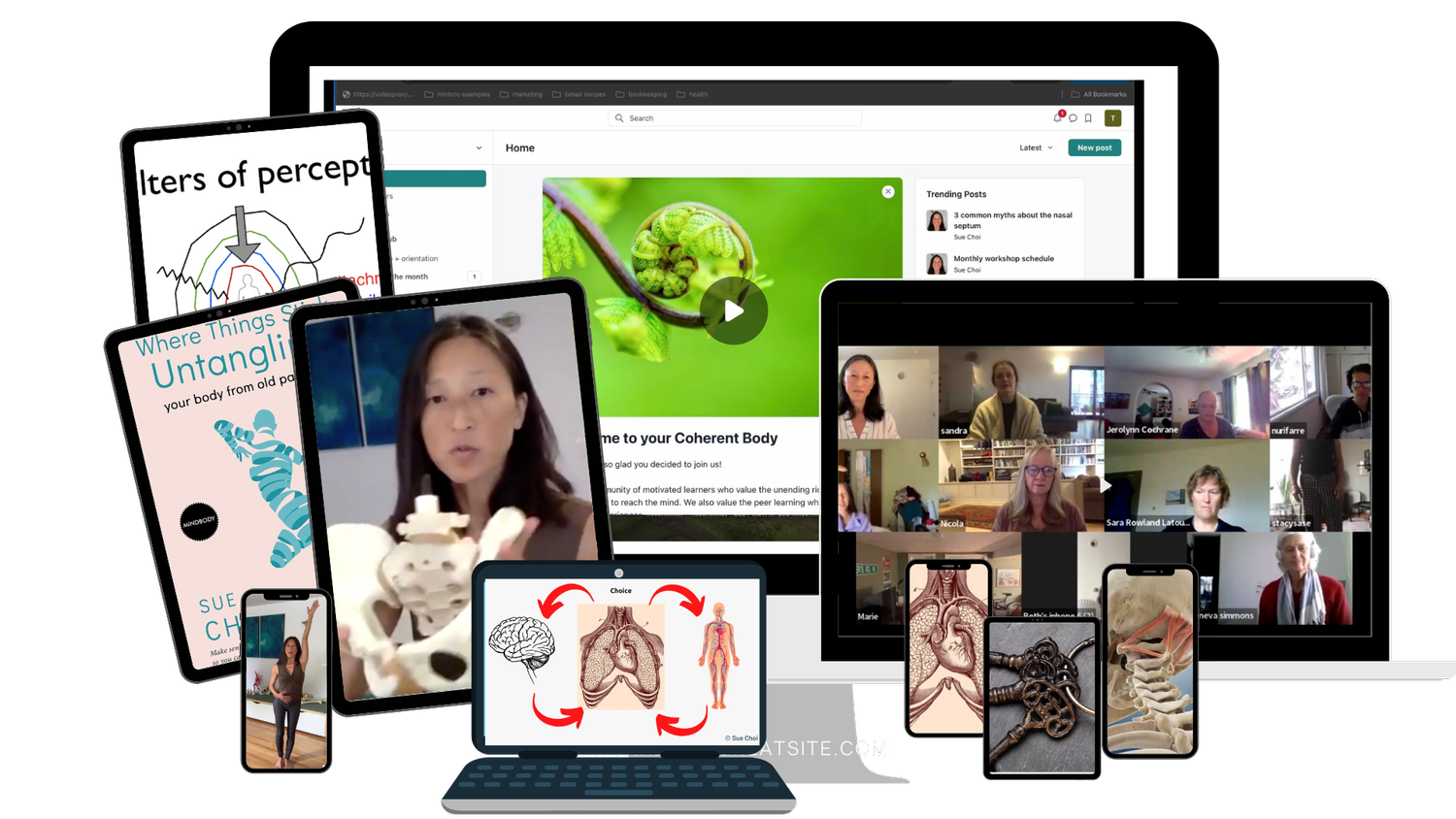 Fundamentals Program | Enhance Your Body Awareness Today — Coherent.Body