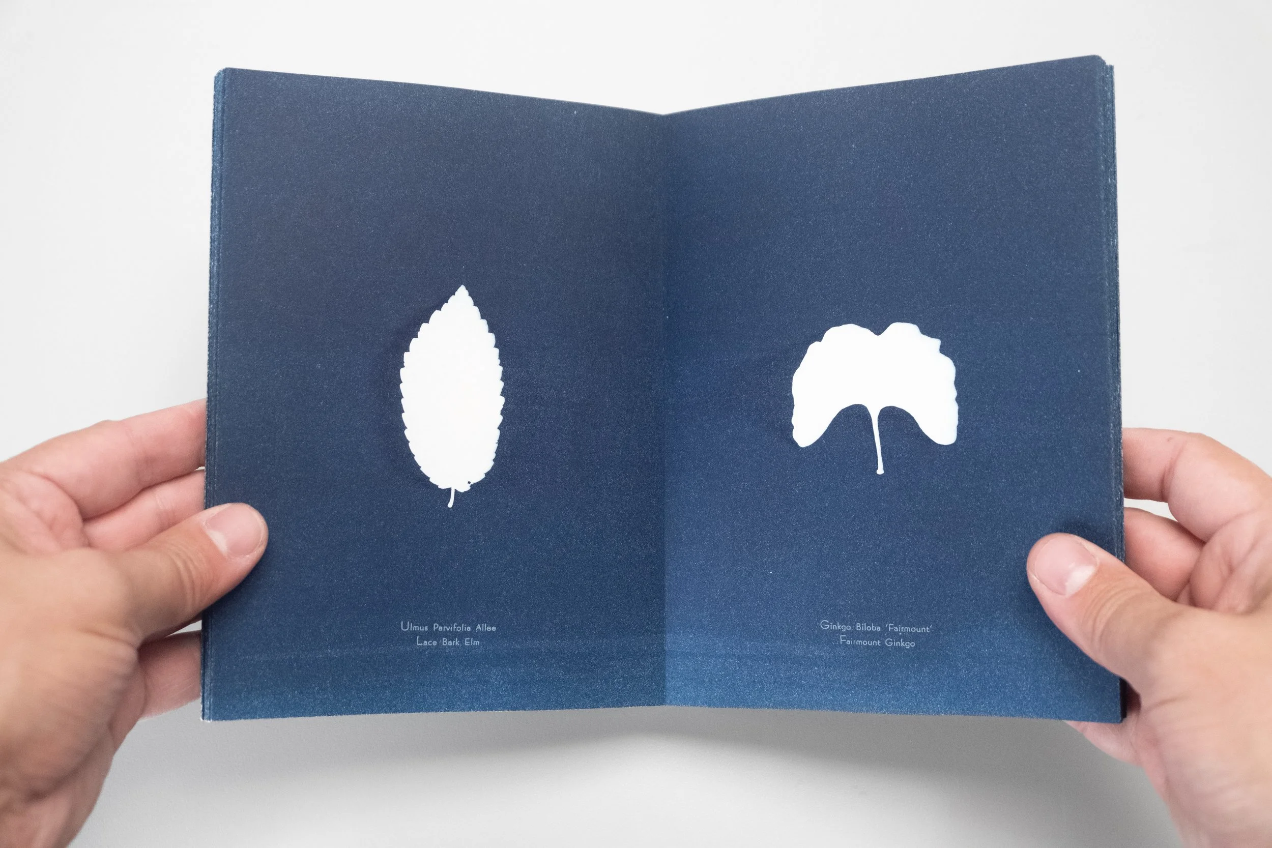 Book of Leaves --