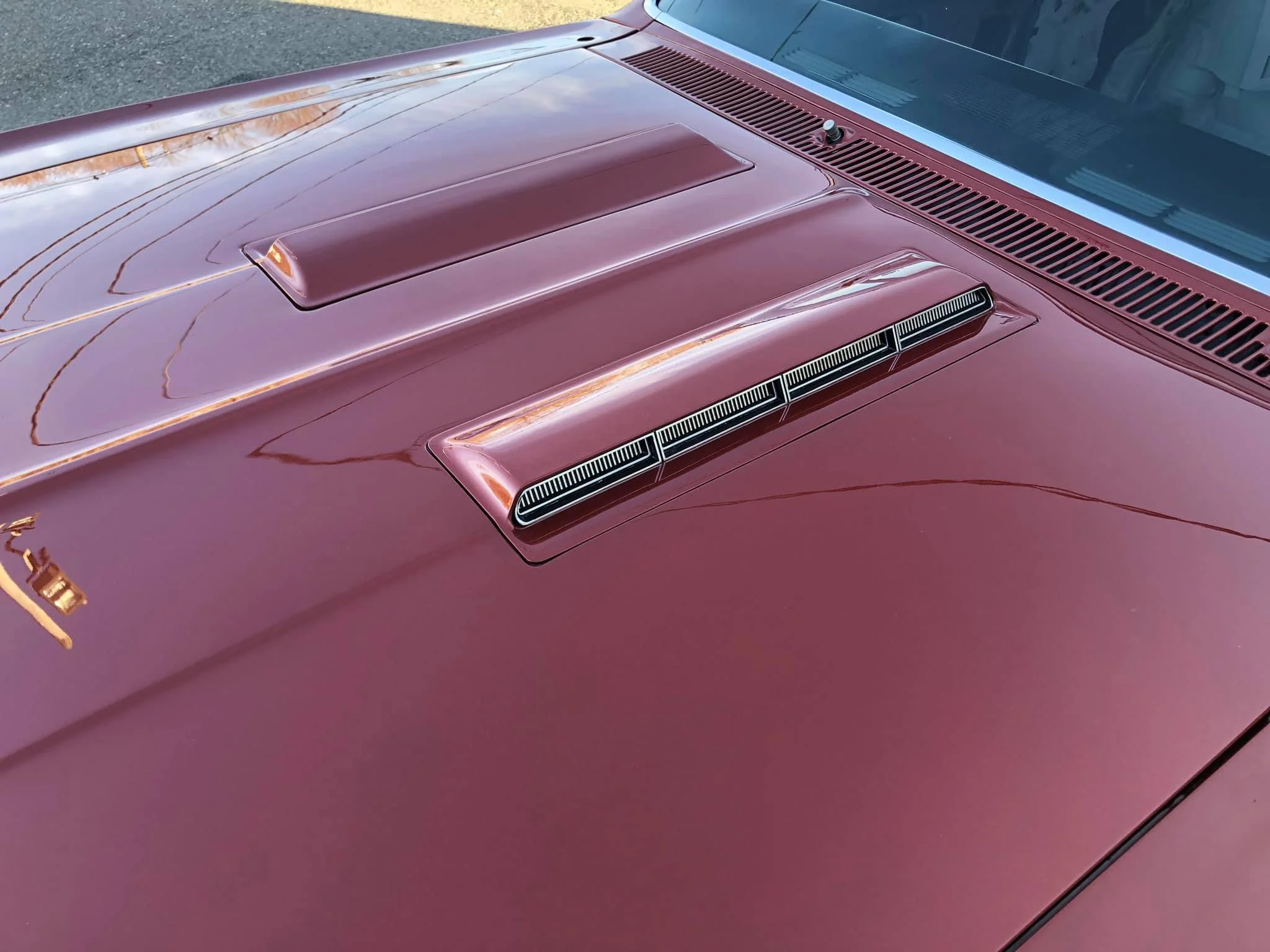 66 chevelle aztec brz hood.jpg
