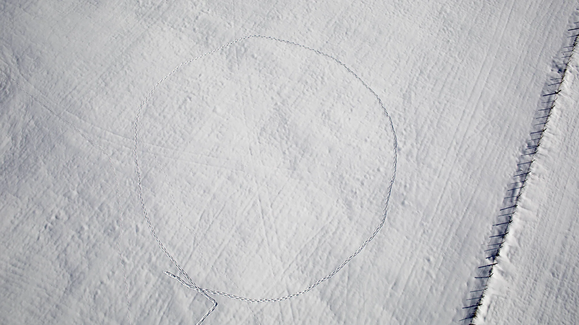 walking a circle