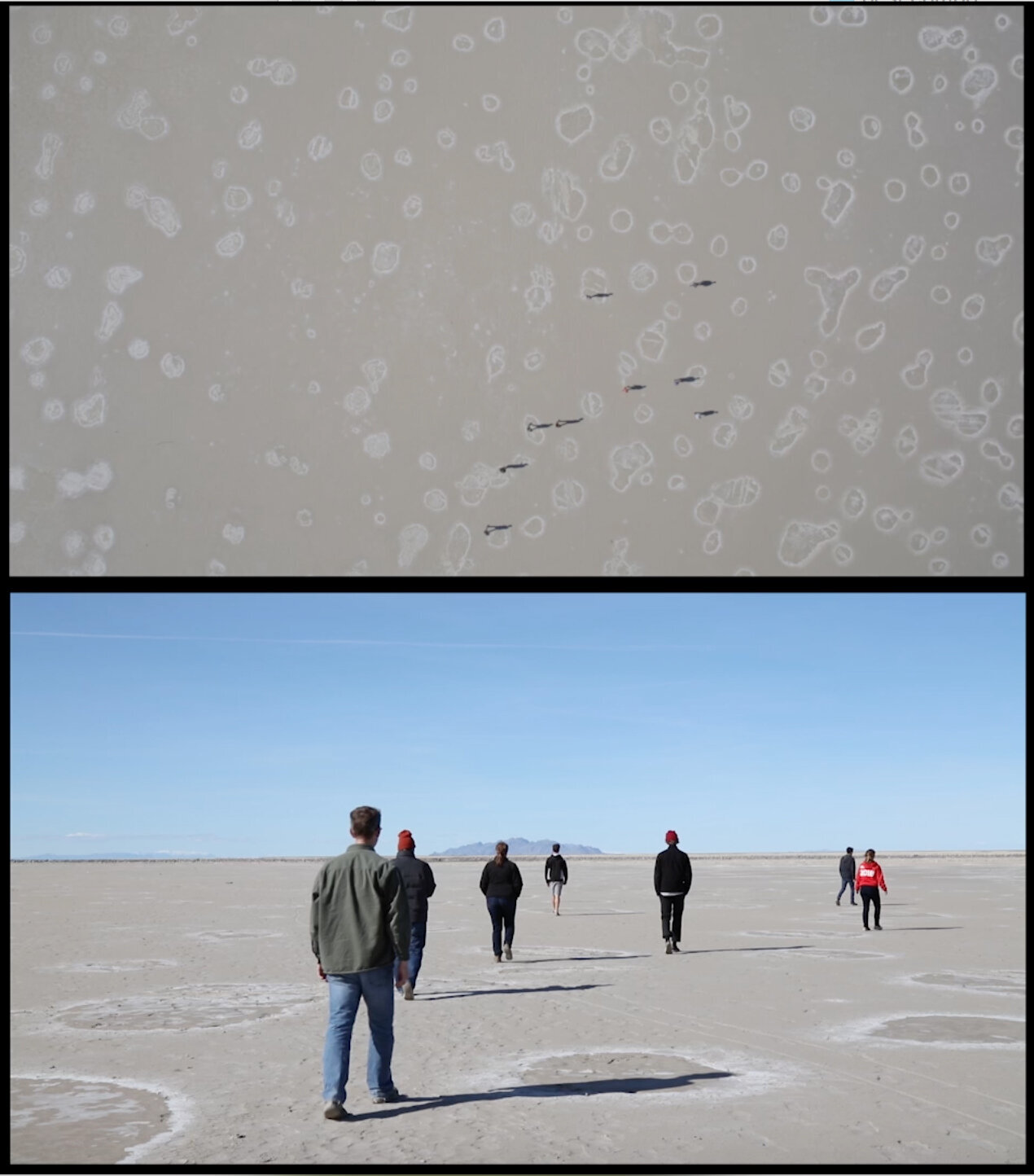 walking.a.straight.line.3.jpg