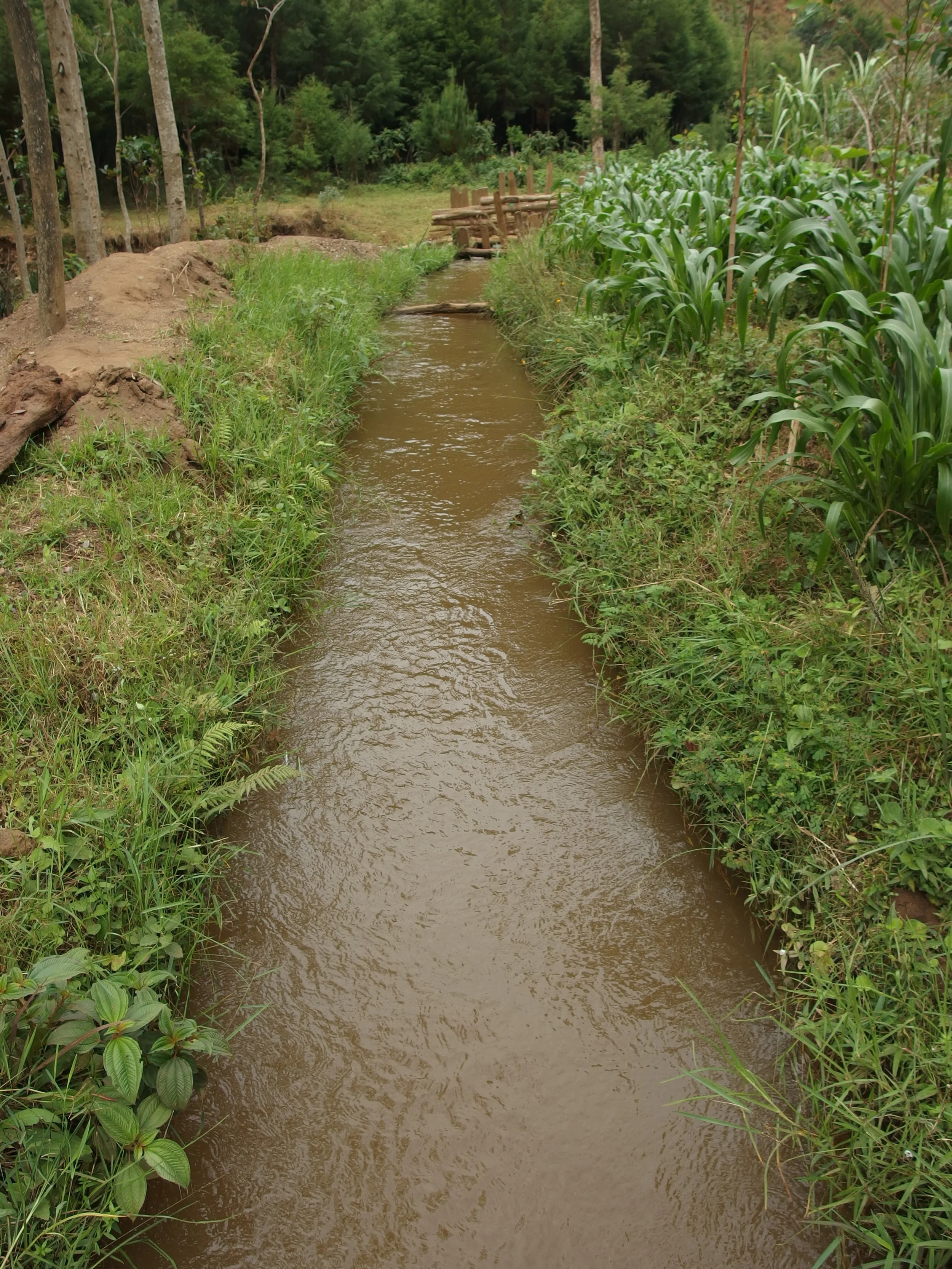 The hand-dug canal leading from the river. I returned about a week later and they were dredging the canal to keep debris from getting to the turbines.