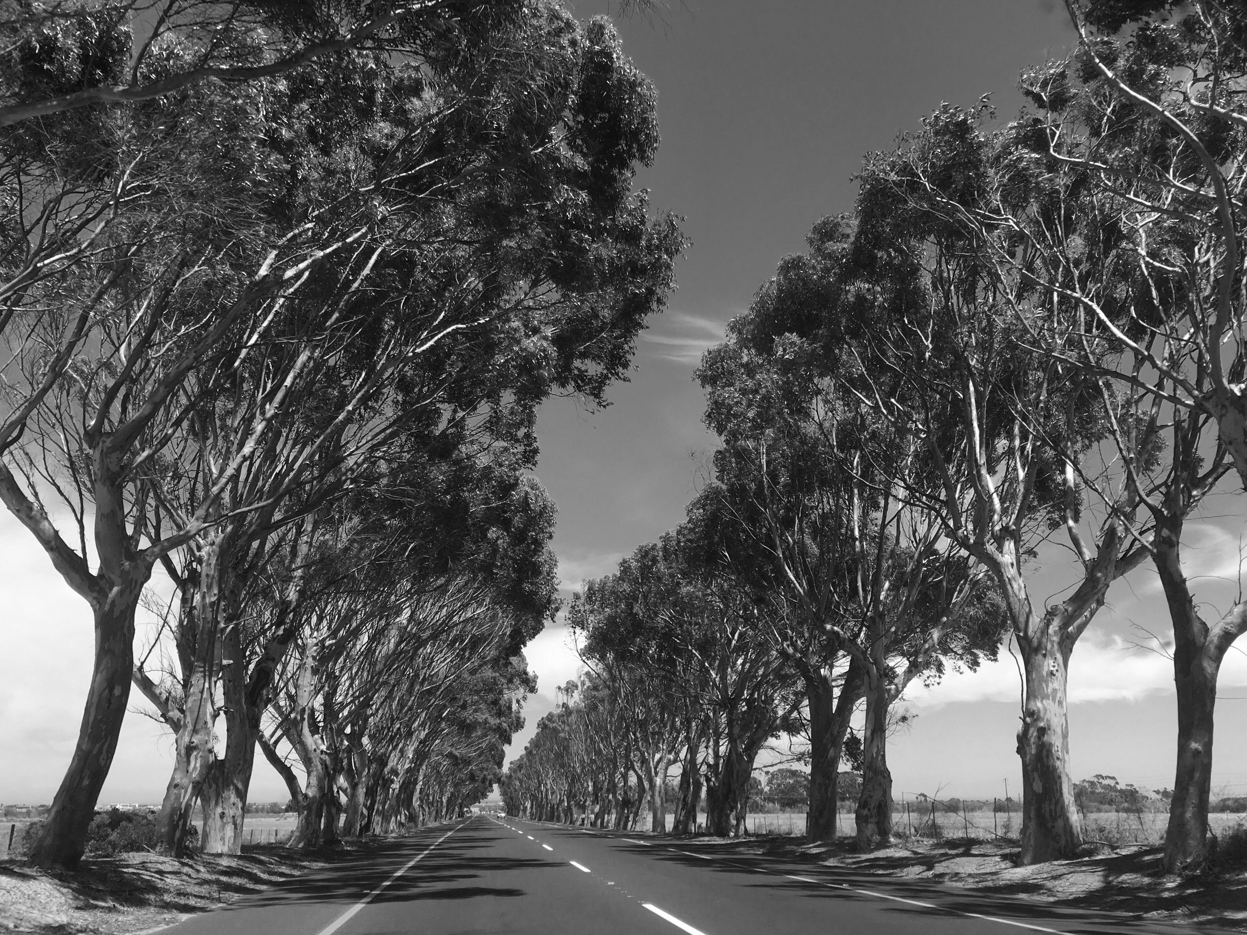 N7 to Riebeek-Kasteel I Cape Town, South Africa I 2017