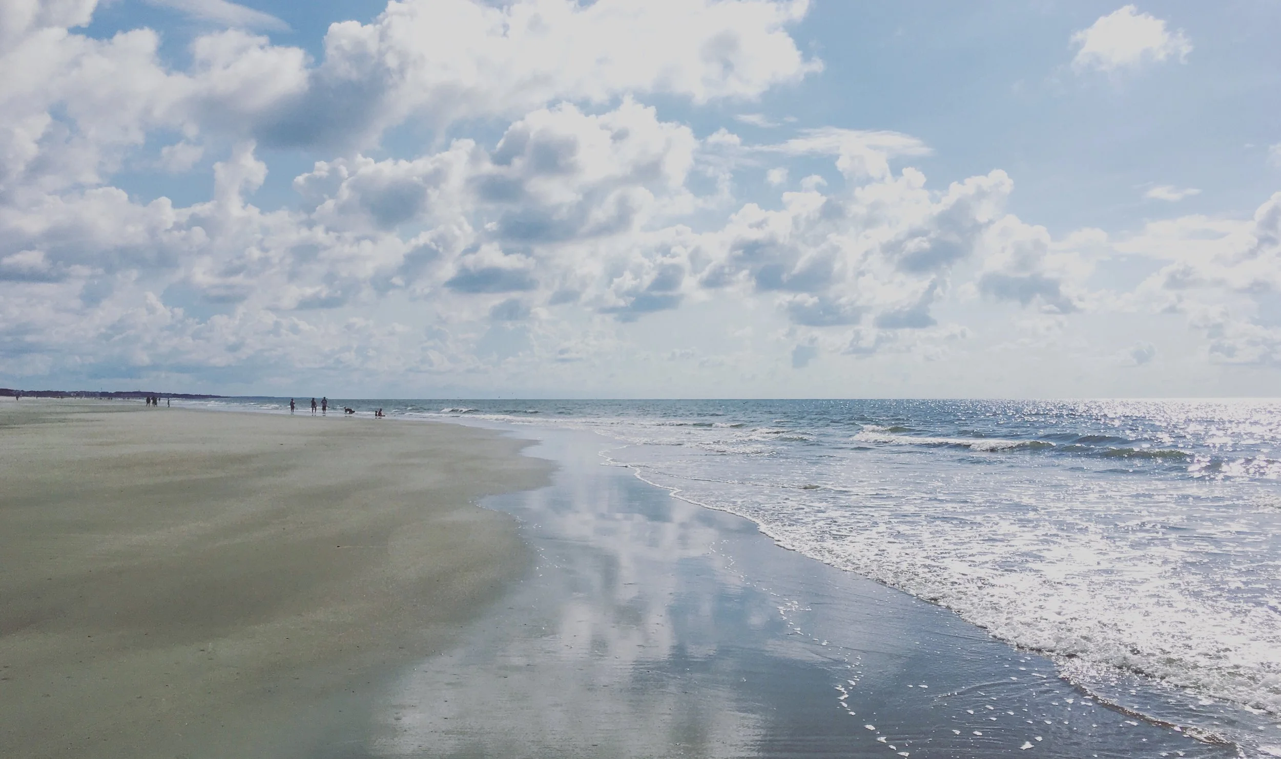 Carolina Coastline I South Carolina I 2019