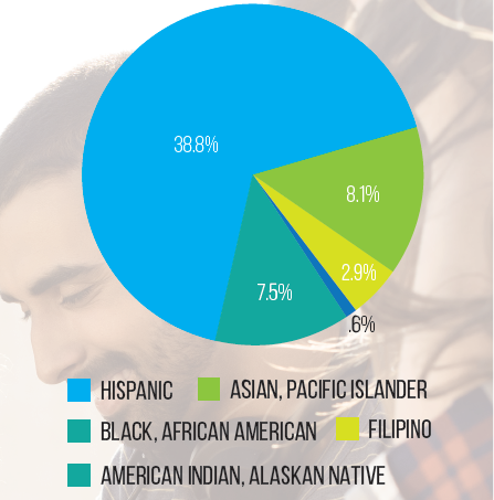 AATA_demographics.png