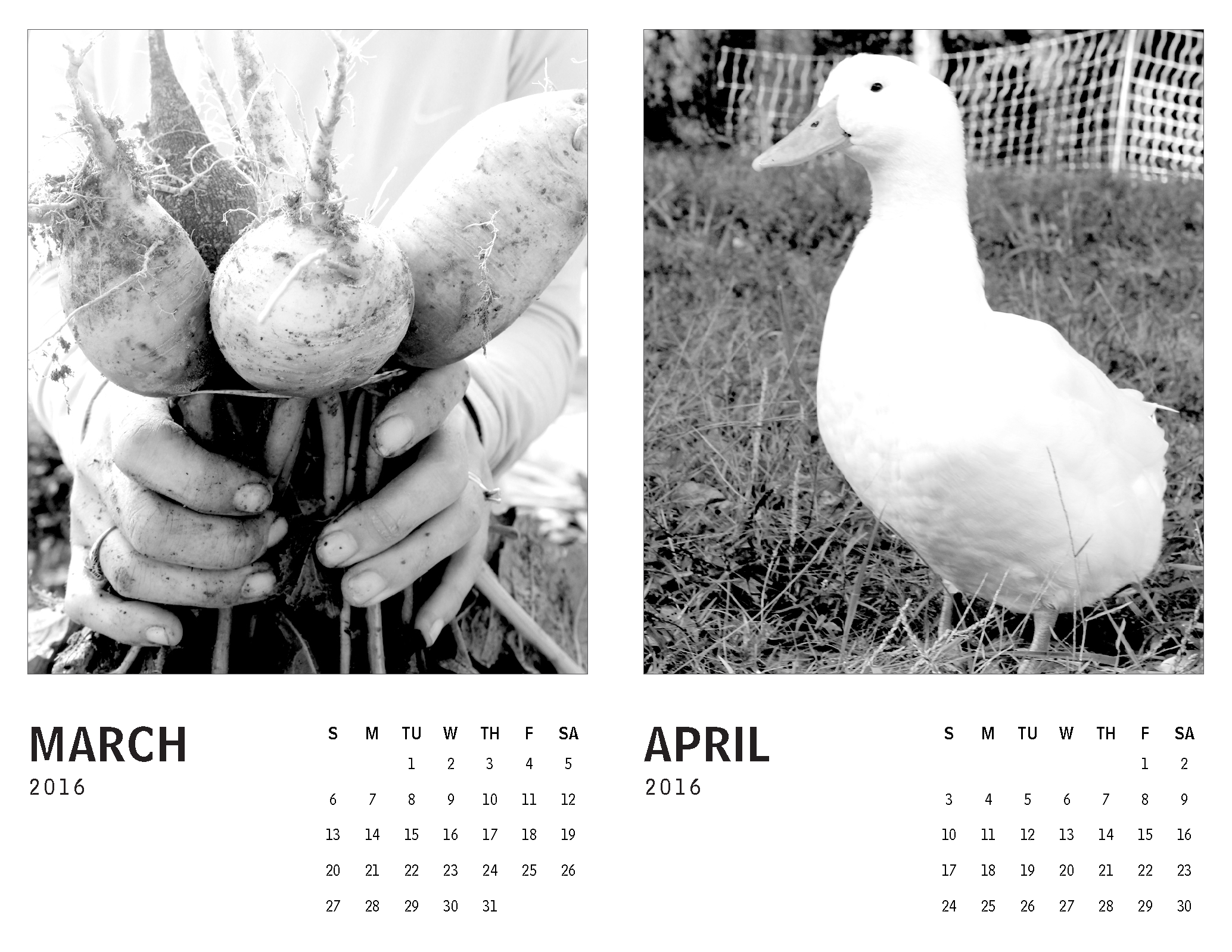 2016 Calendar – Tennessee_Page_2.png