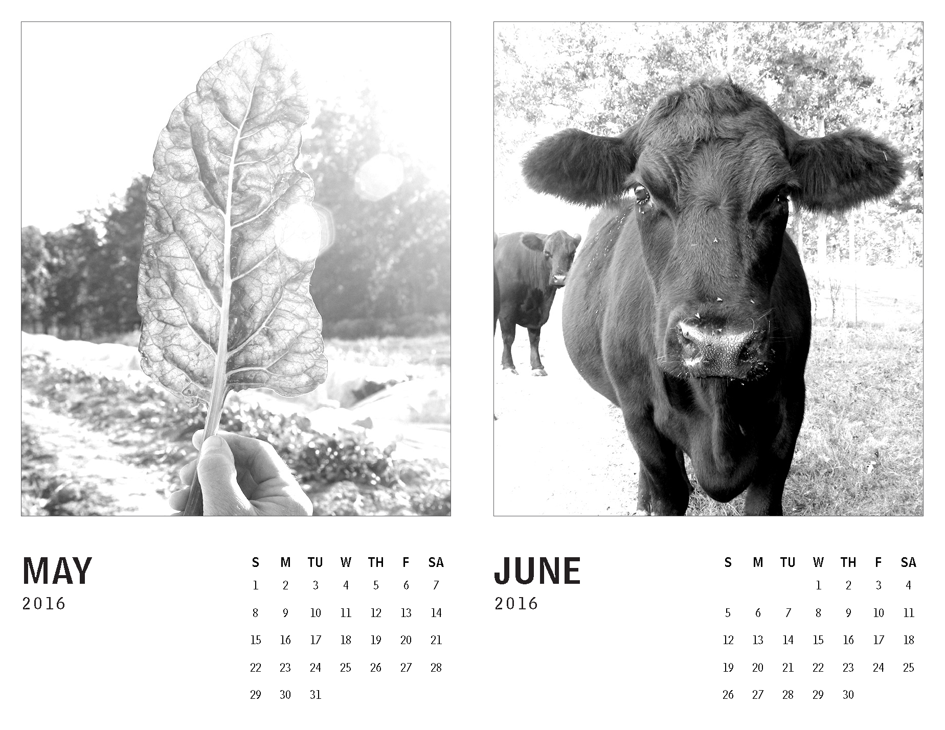 2016 Calendar – Tennessee_Page_3.png