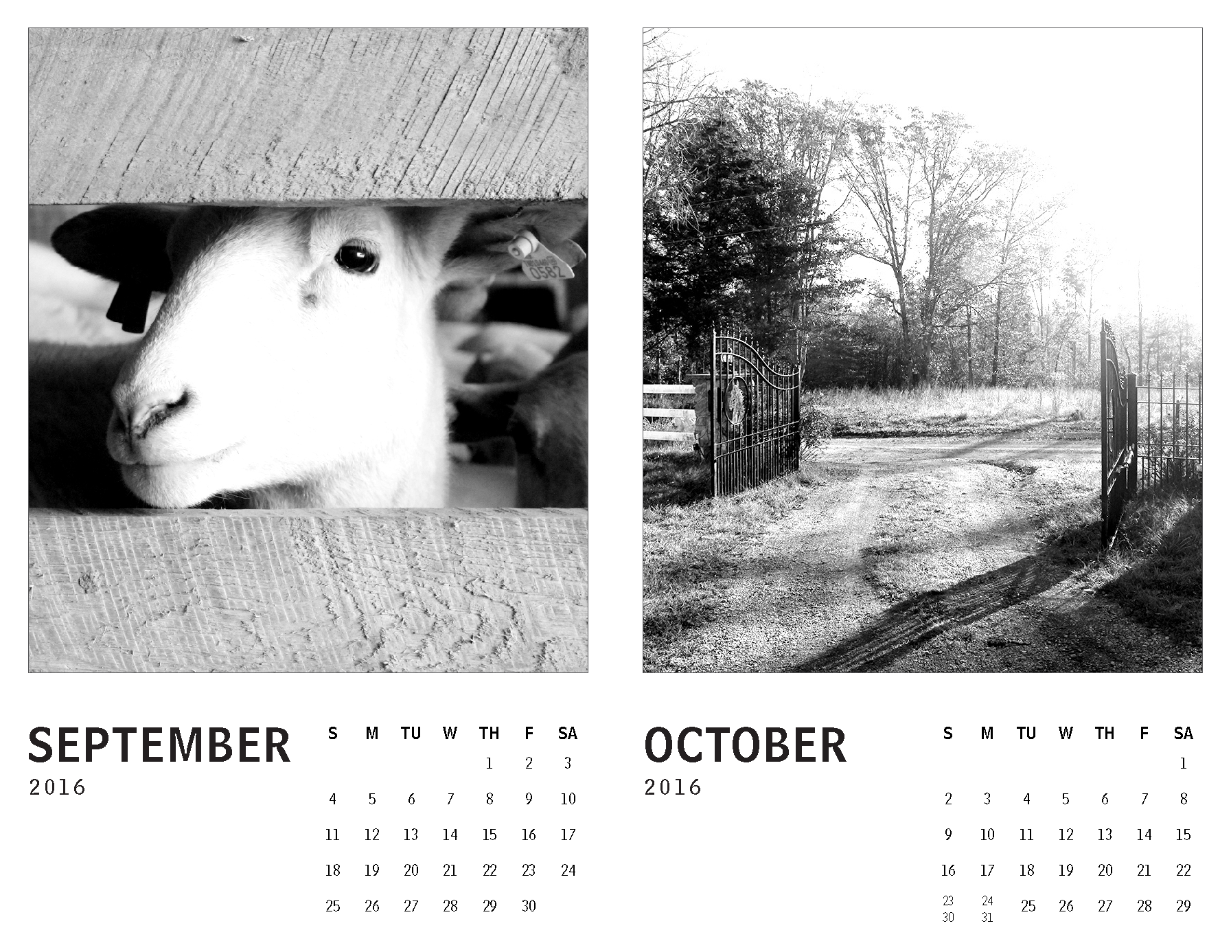 2016 Calendar – Tennessee_Page_5.png
