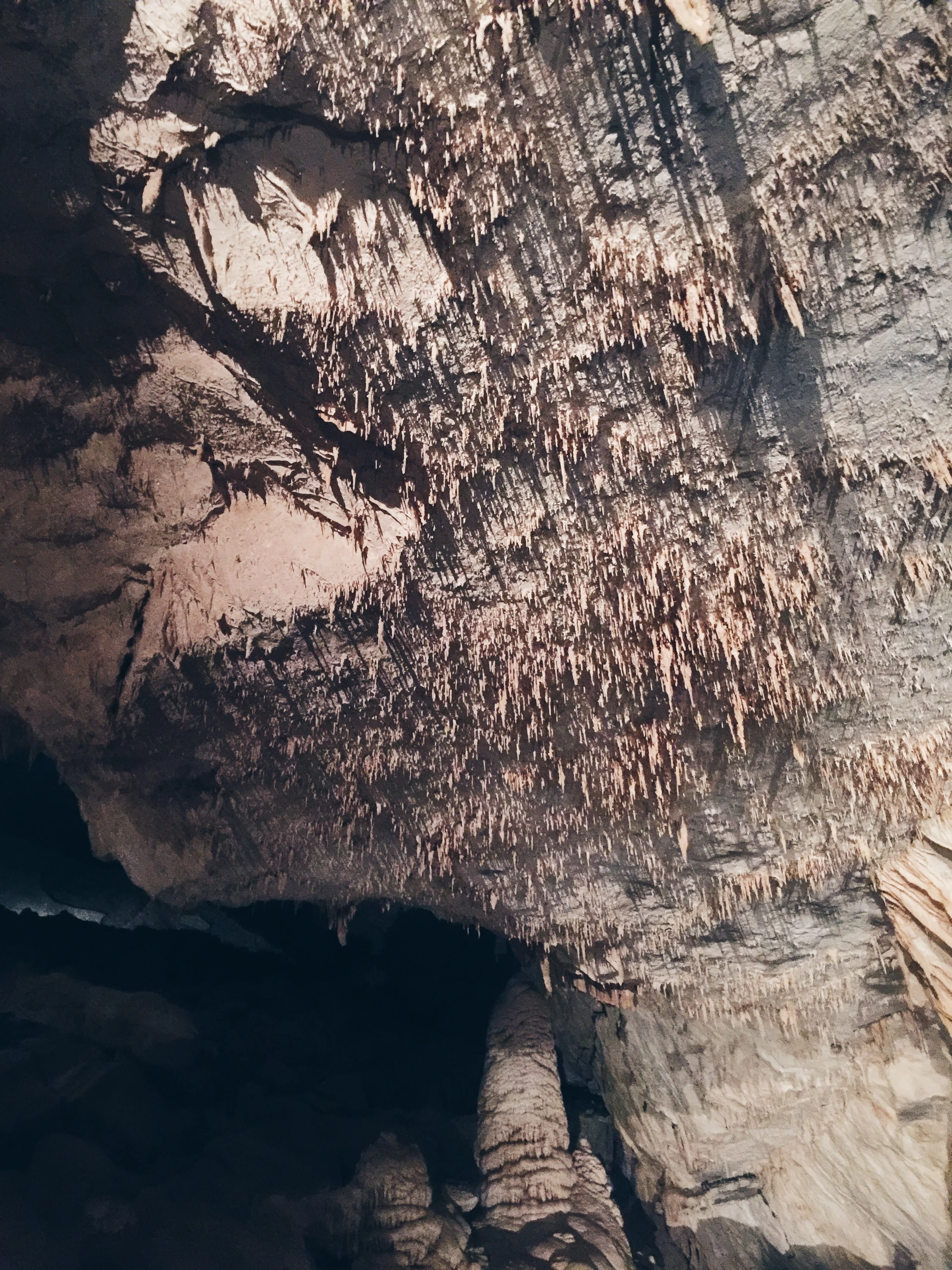 Cumberland Caverns & Bluegrass Underground — Maddily