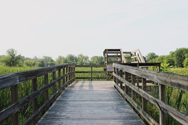 Beyer Farm Trail