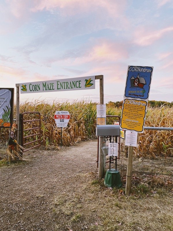 Corn Maze Entry