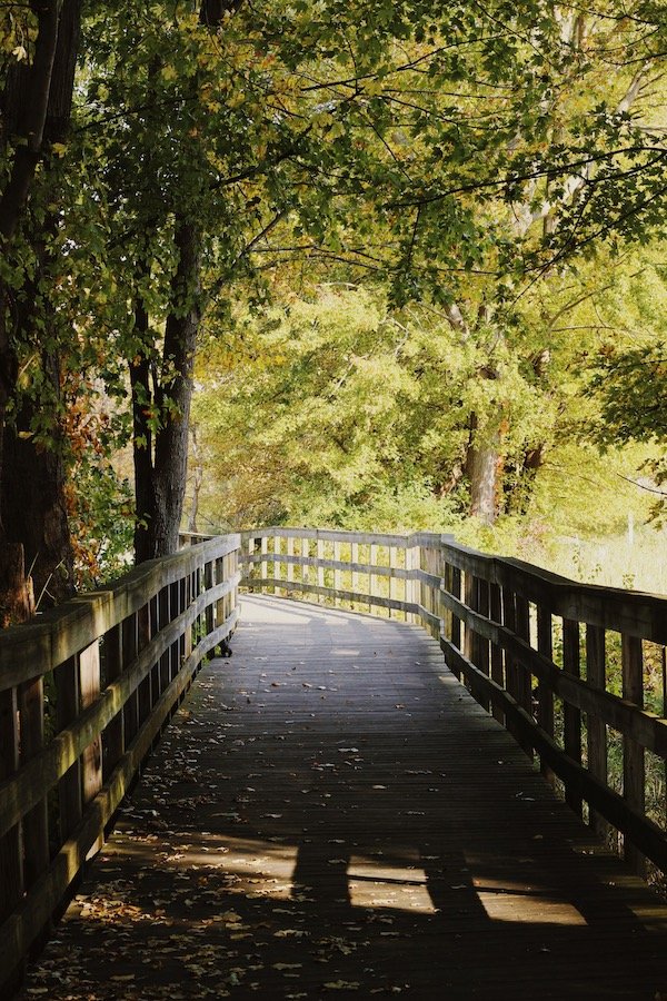 Beyer Farm Trail