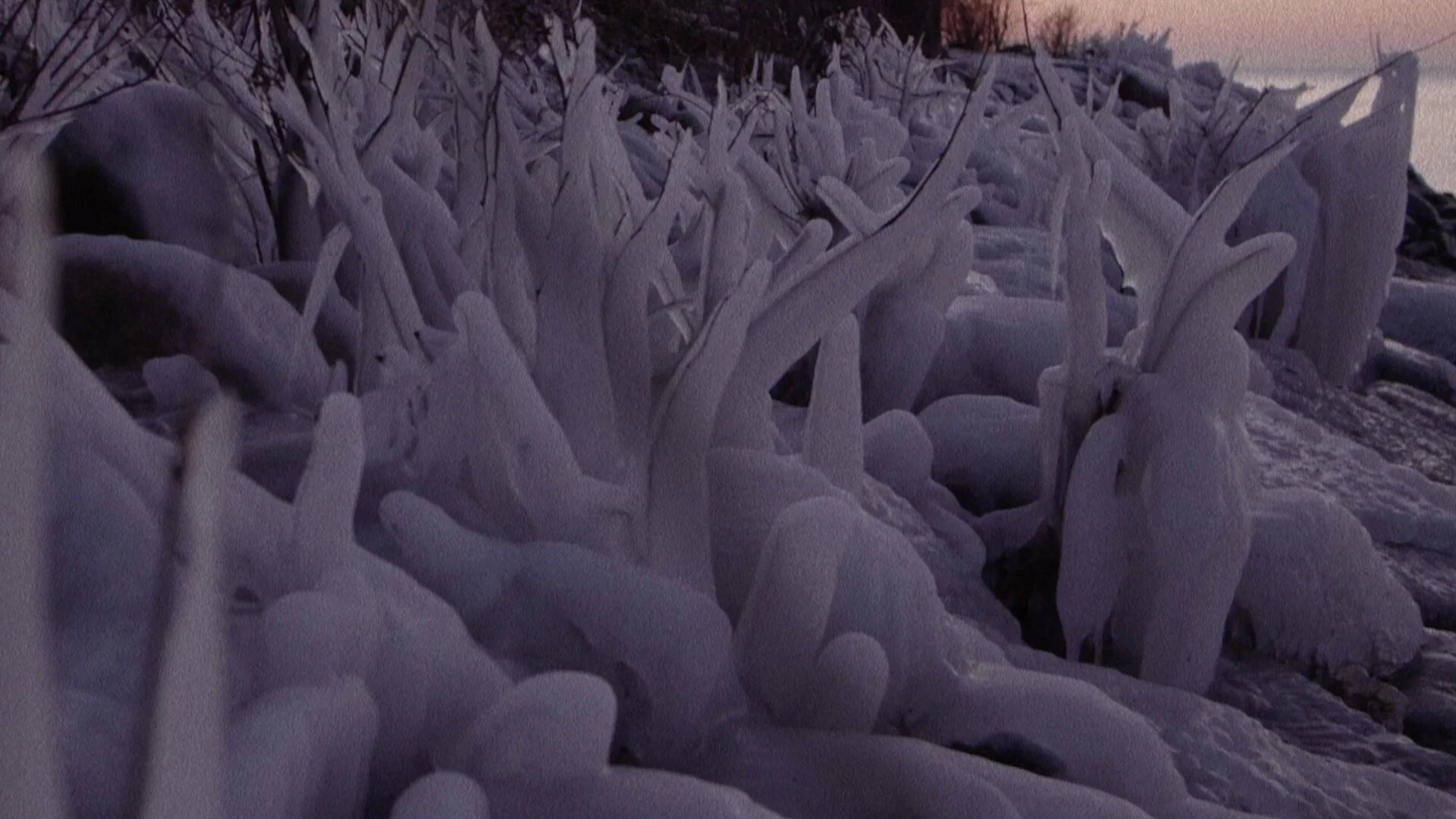 A Christmas Message from Vanderheide Visuals