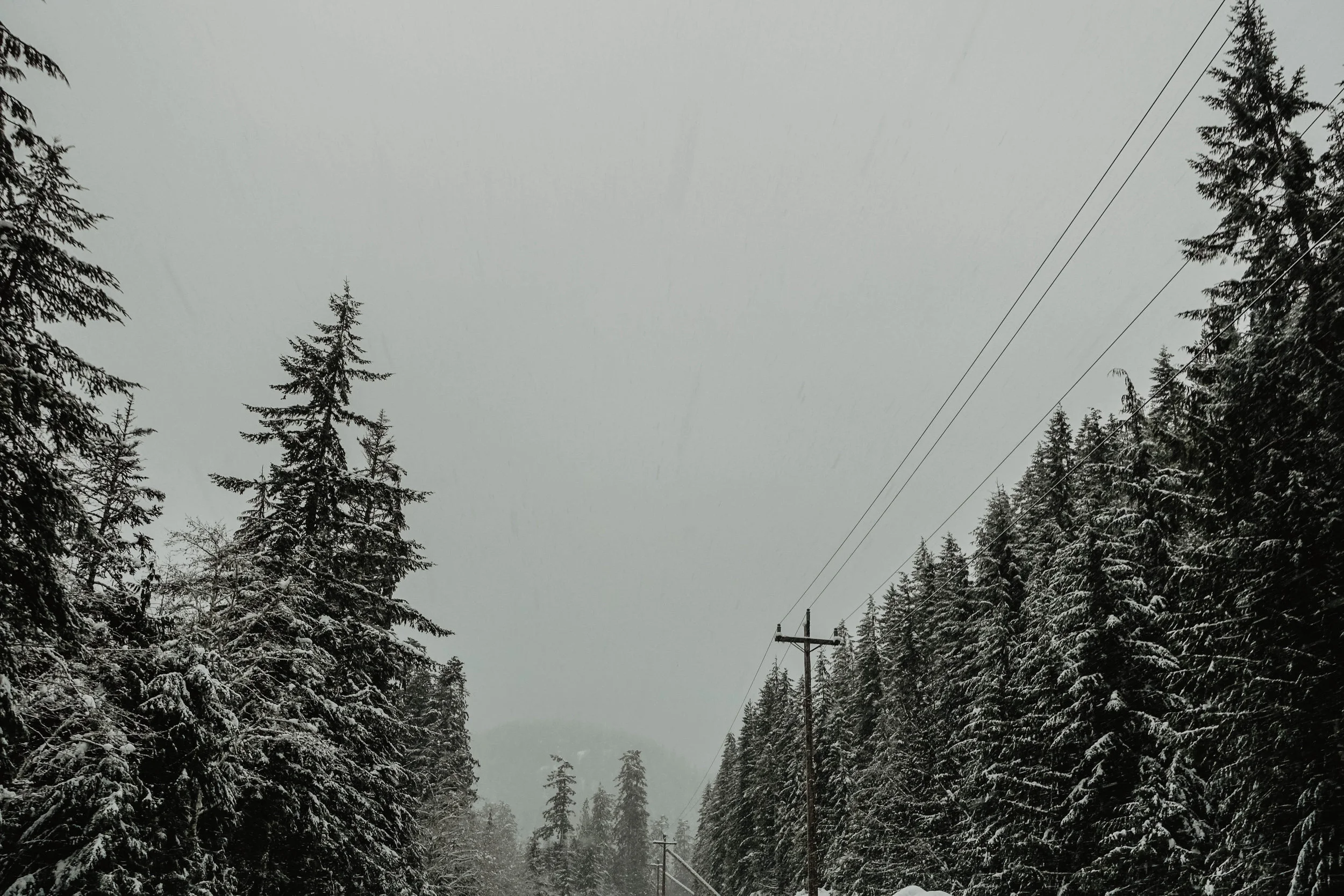 PacificRimHighway.jpg