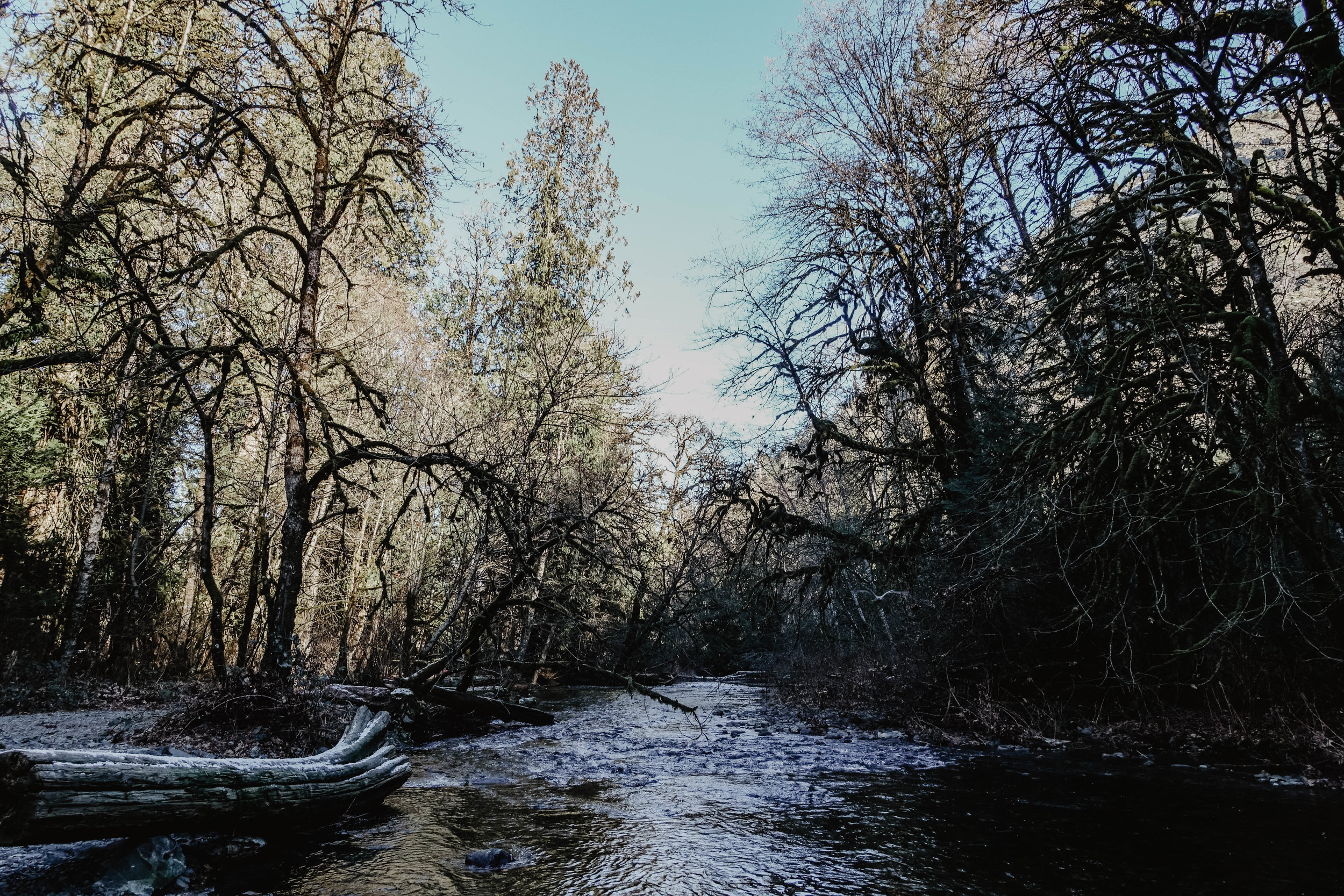 GoldstreamNationalPark.jpg