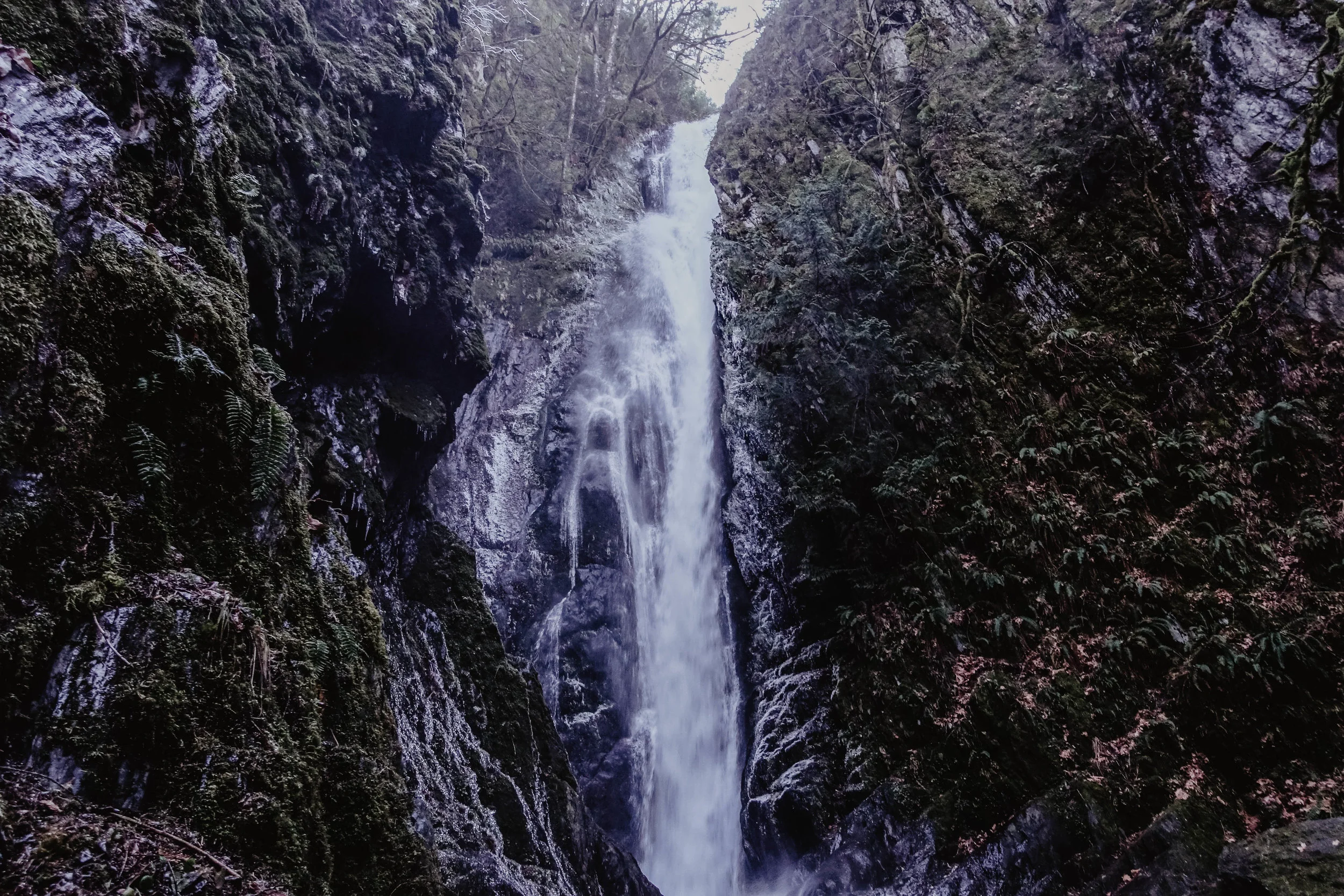 GoldstreamNationalPark4.jpg