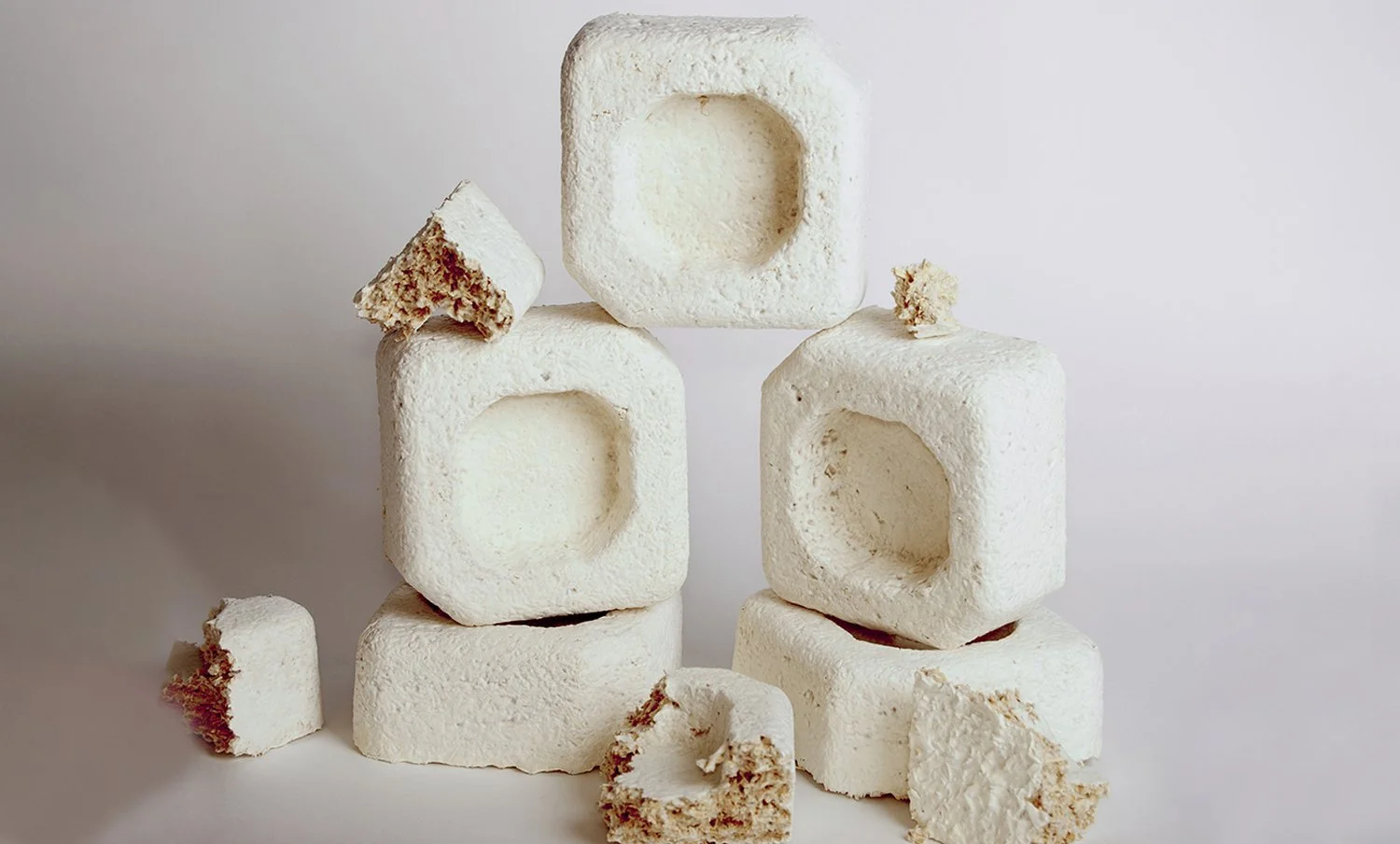 Meg Callahan Sustainable Writer