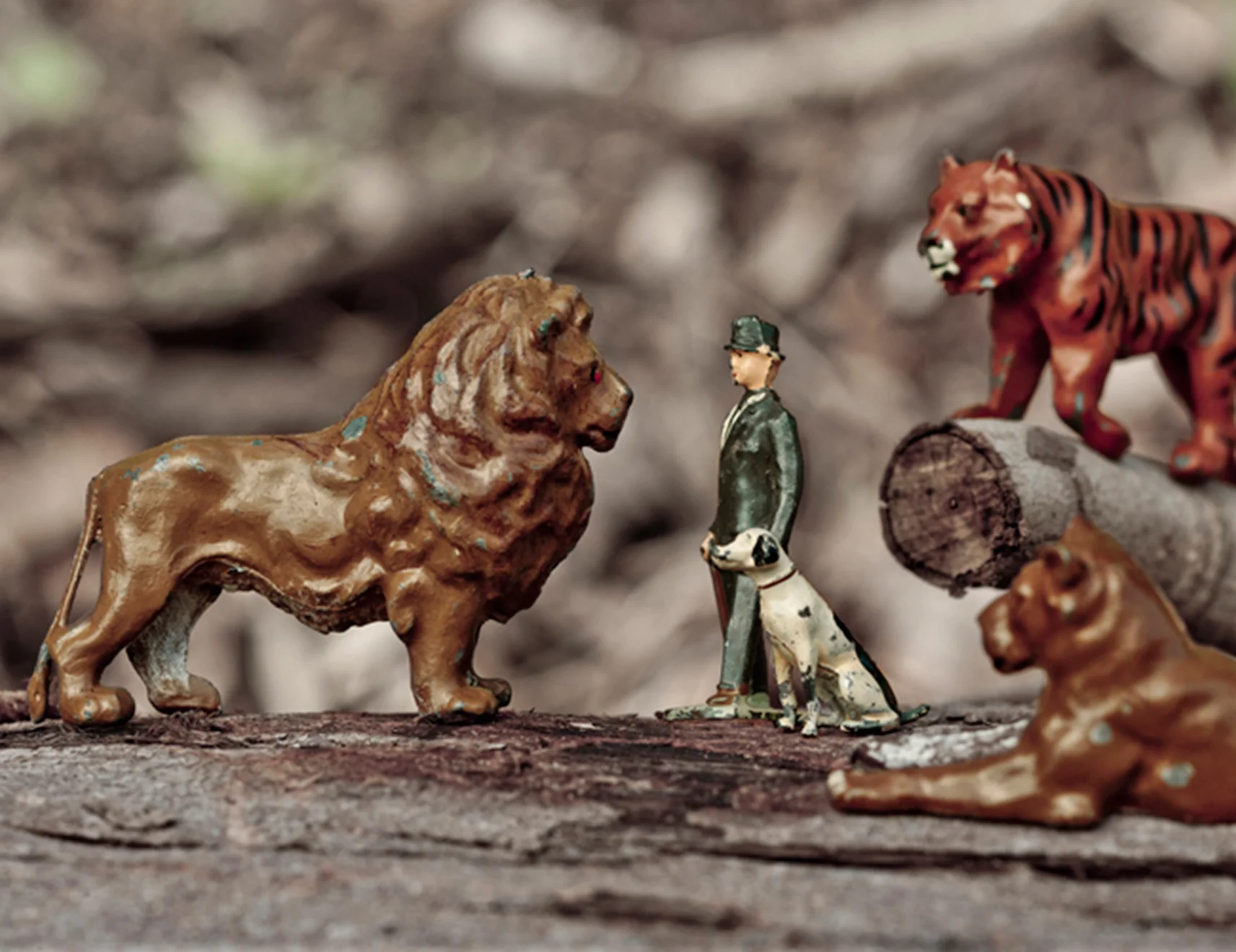 A_Day_at_the Zoo_14.jpg