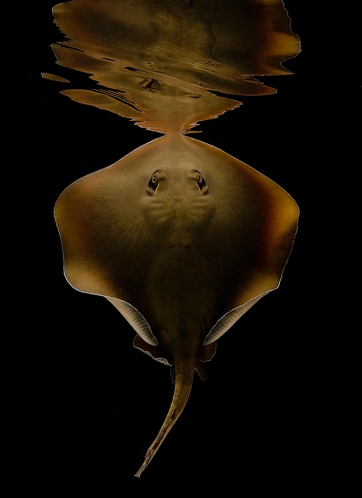 CBP_3279.jpg