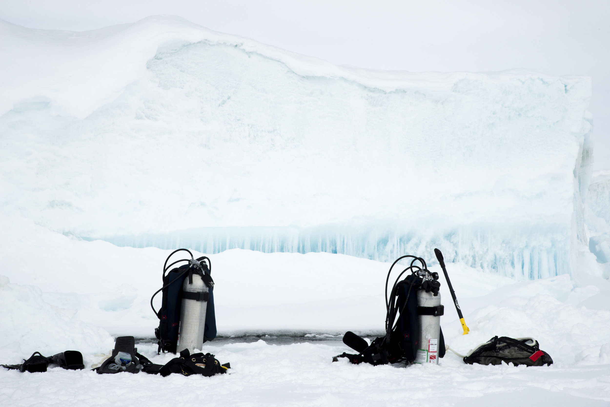 Credit: Françoise Gervais / Arctic Kingdom