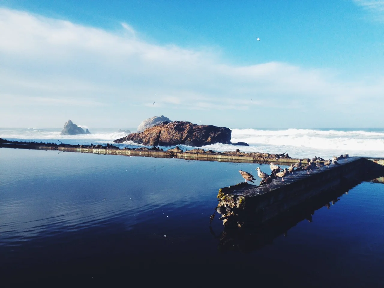 halfemptyoptimist :
After an 8 month long hiatus I’ve once again returned to my beloved City by the Bay. I’m overjoyed to be back in San Francisco. Life is good.