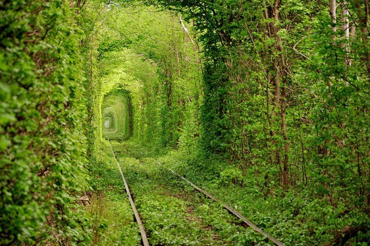 tumblr_mk45z6LCE91qds5eko3_1280.jpg