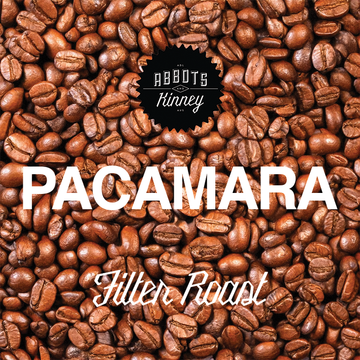 Pacamara WS.png