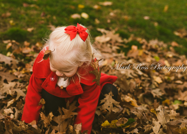 The strategically placed falling leaves were not at all staged.