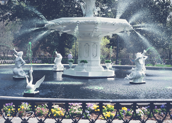 Happy St. Patrick's Day, Savannah!!!