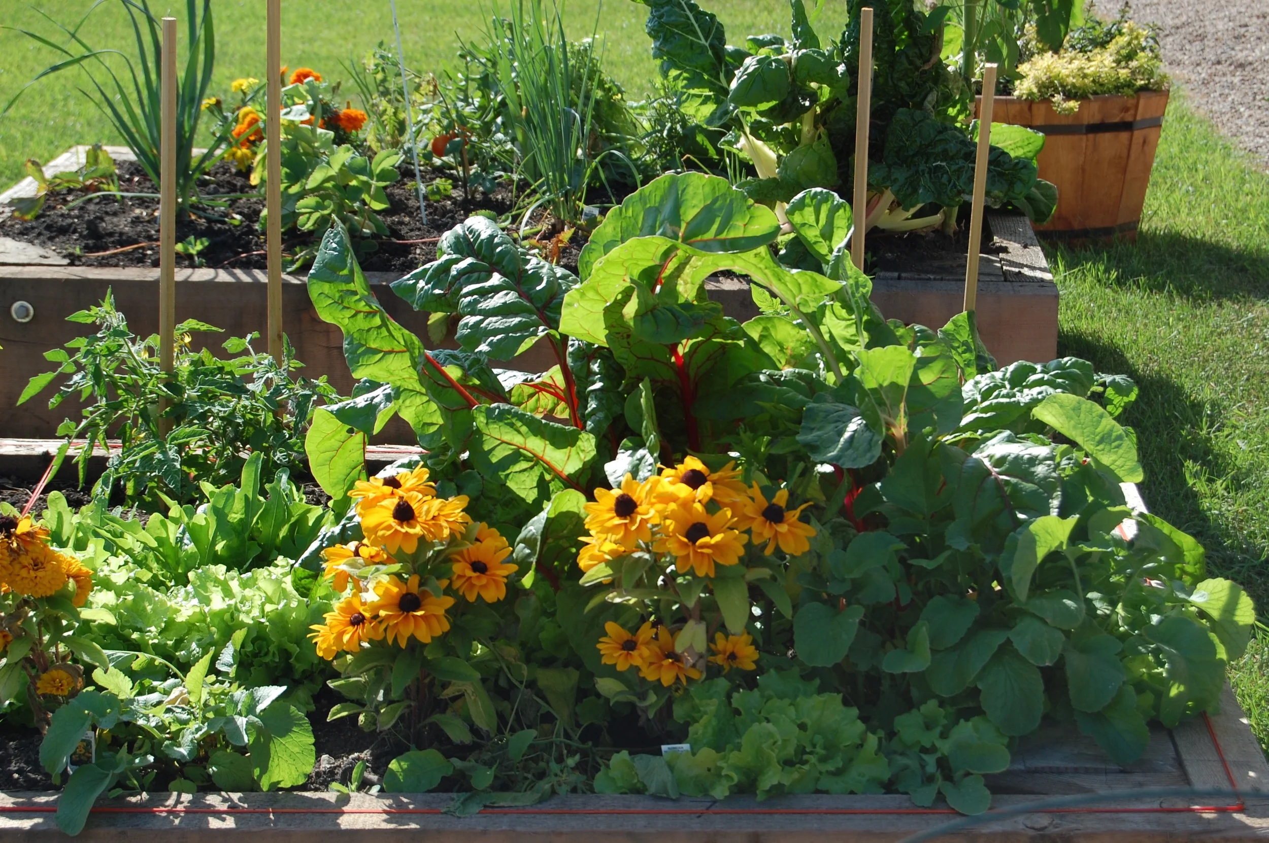 About — Sustainable Food Edmonton